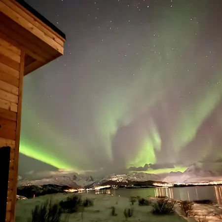 Lofoten Seazens Horizon Dağ evi *